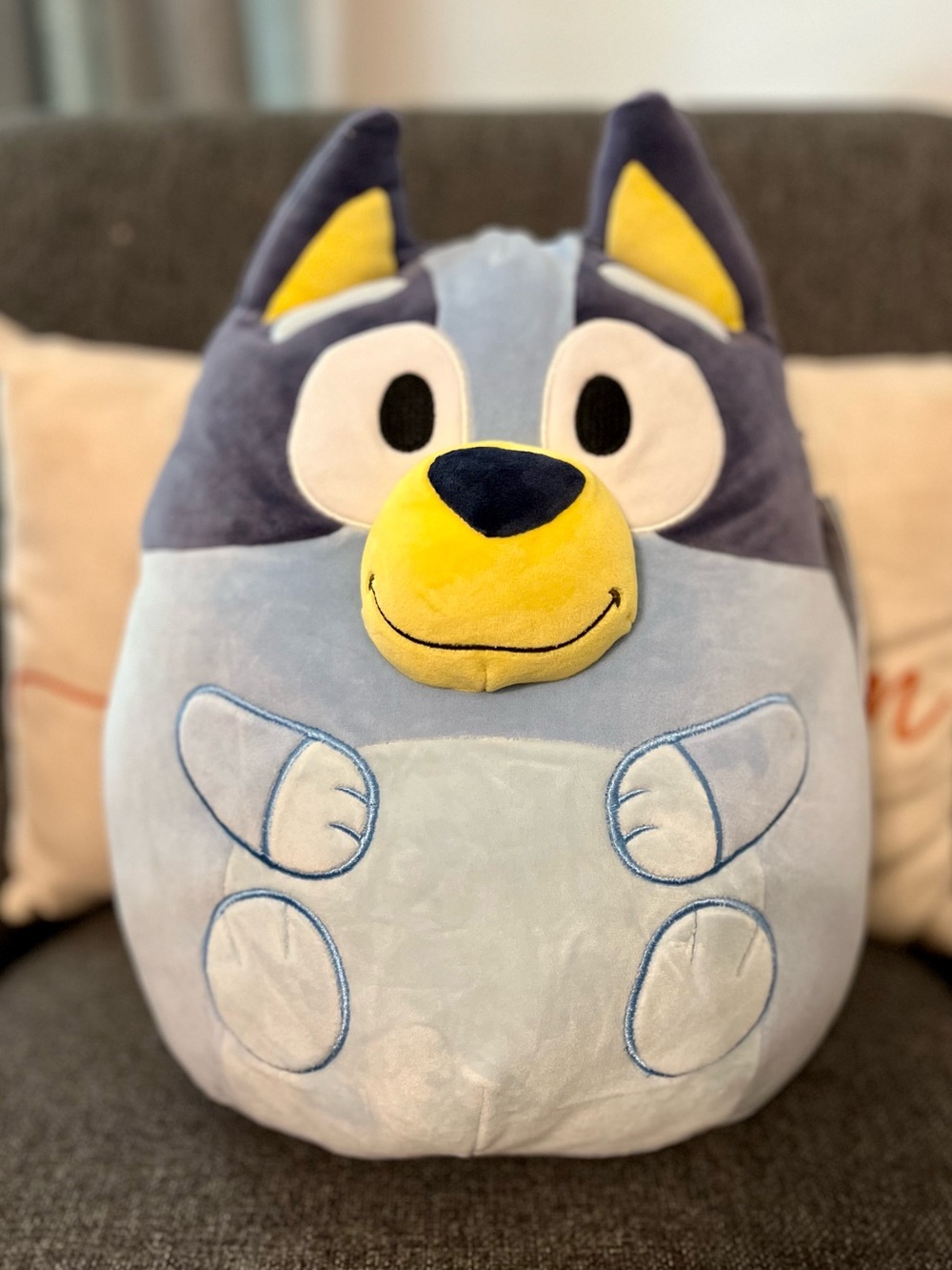 Squishmallows 12" Bluey Stuffed Animal: Polyester Dog Character
Plush Toy